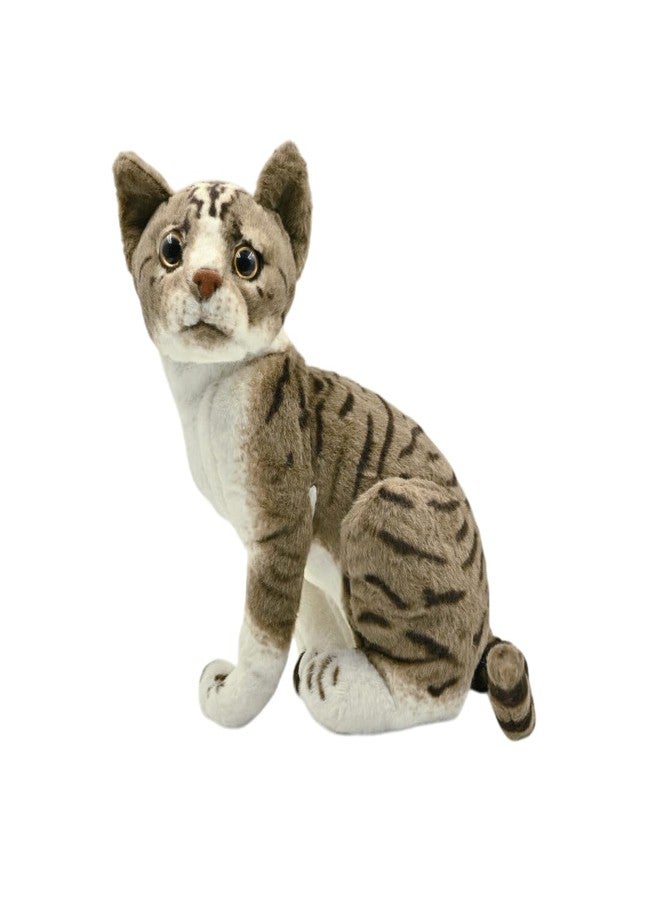DTR Creation Cat 27 CM Soft Toys for Kids | Plush Soft Toys for Baby Boys and Girls| Best Gift | Cat Soft Toy for Kids -Brown/White 27 Cm Height - Image 2